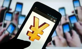 互联网支付 心跳加速的便利，网络与信息安全软件开发的守护之道